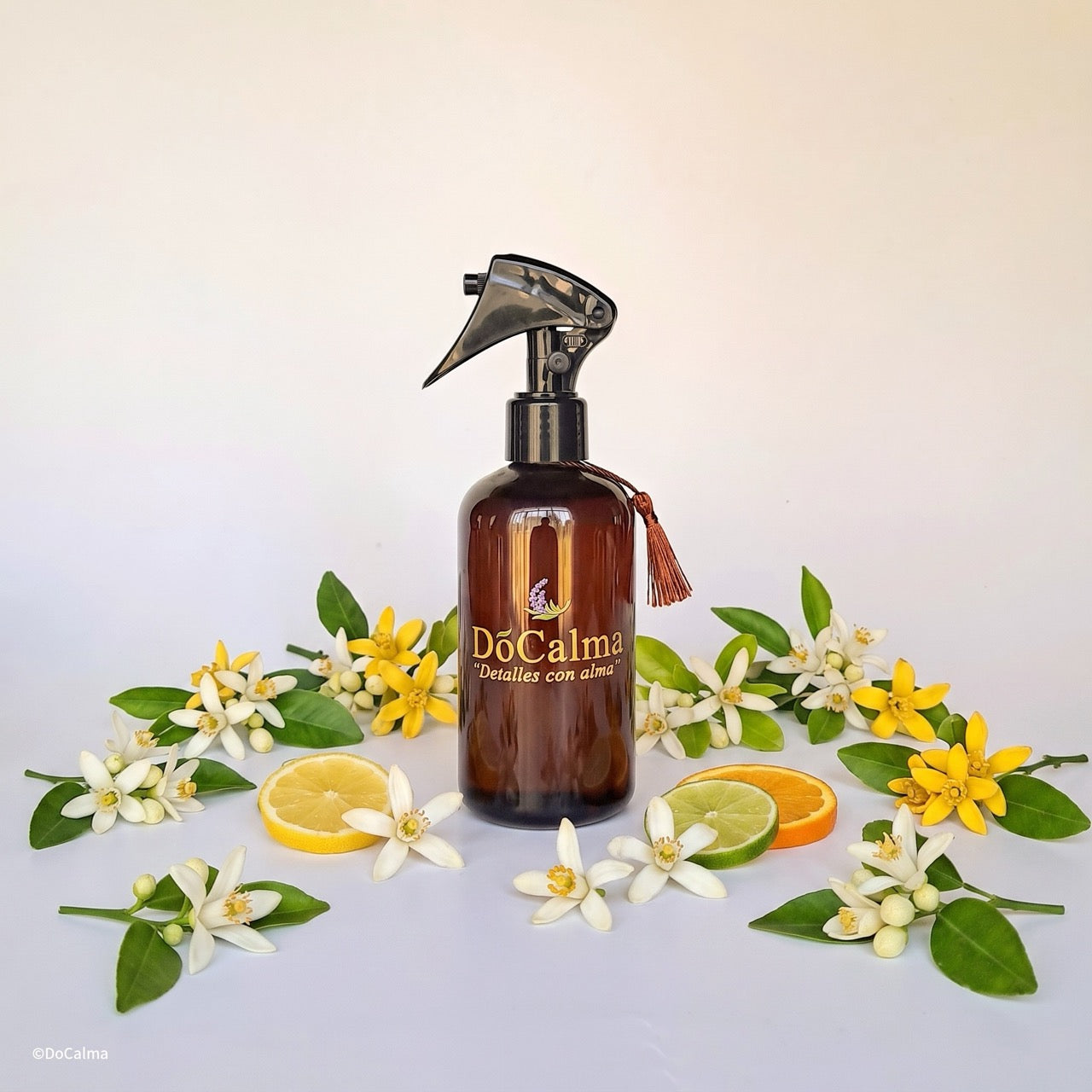 HomeSpray Antropology